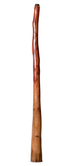 Tristan O'Meara Didgeridoo (TM479)